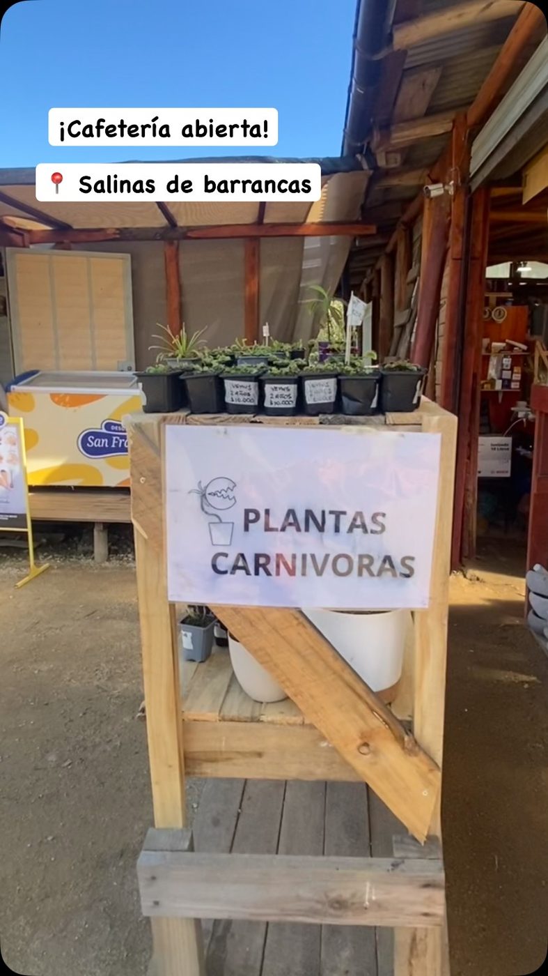 Estante con plantas carnívoras y el letrero Plantas carnívoras junto al quiosco de ARREMO