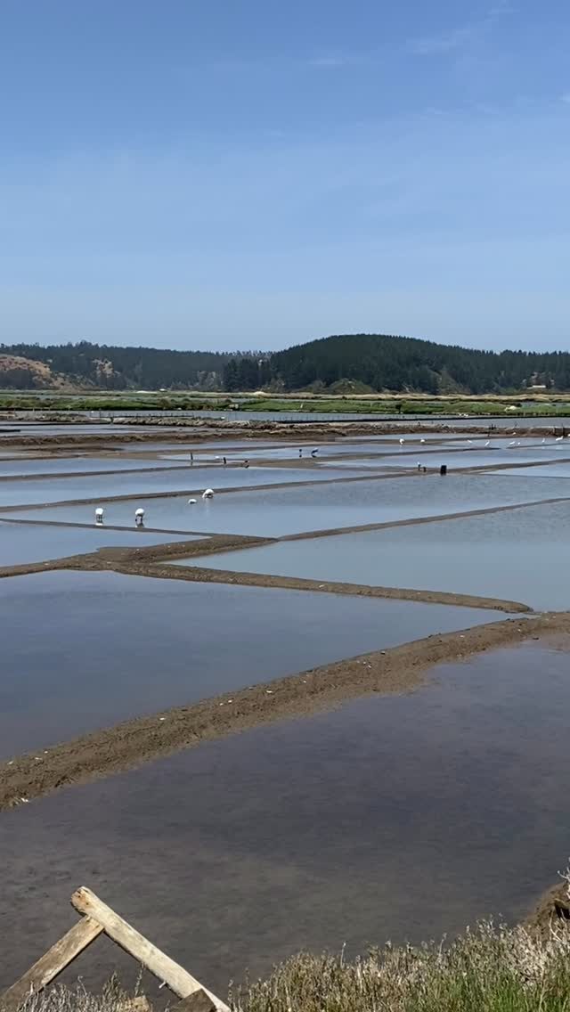 Piscinas de sal de Las Salinas de Barrancas
